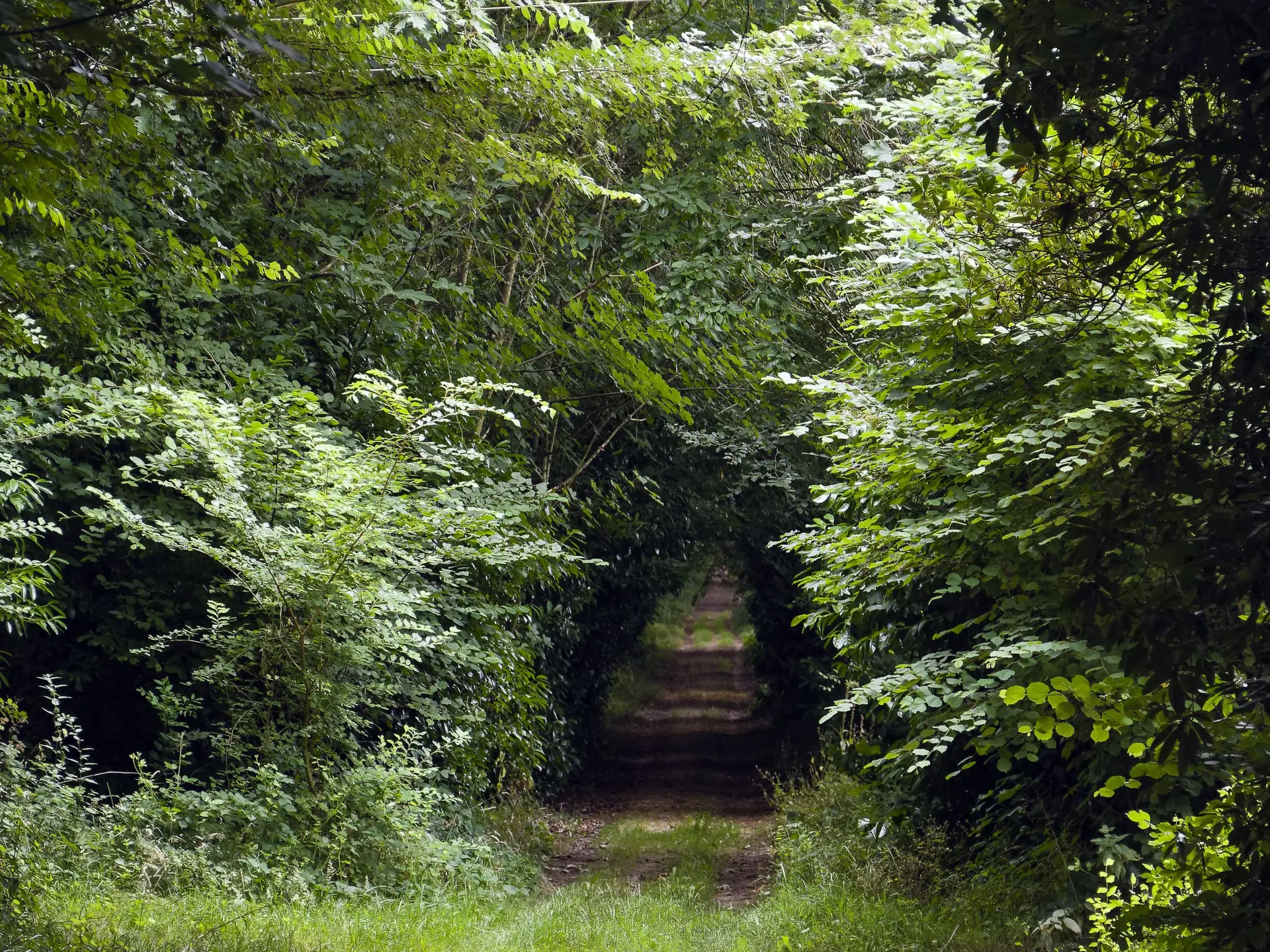 Montaudin-Pihoraye-Bocage-Mayennais-Tourisme--11-