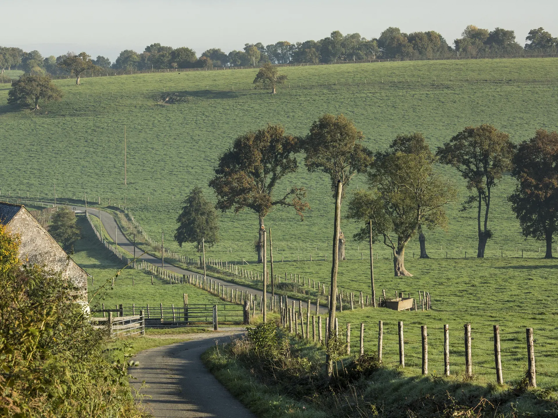 Torce-Viviers-004---CP-P