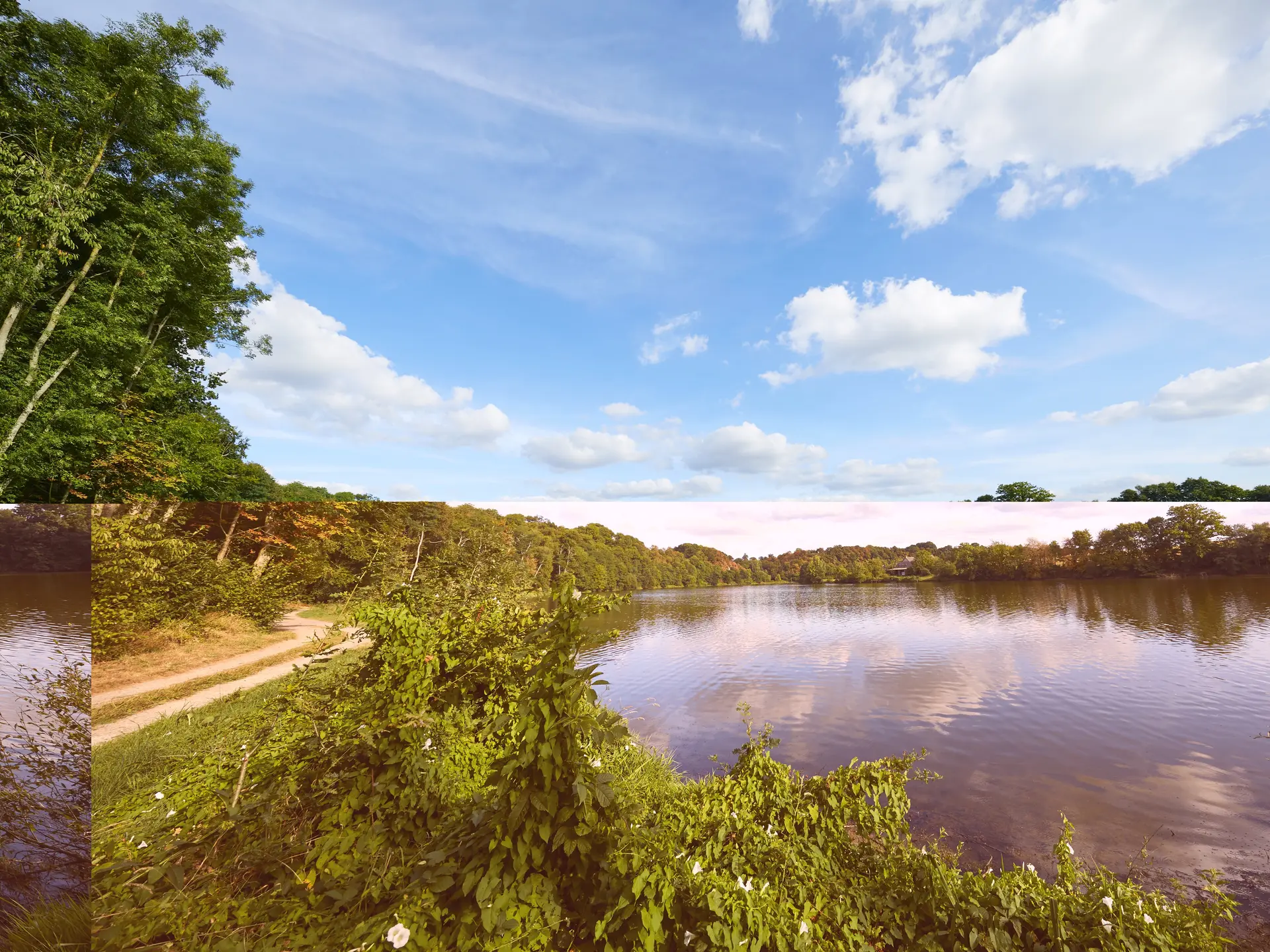 bocage-mayennais-ambrieres-les-vallees-53-cp-prisma--6-