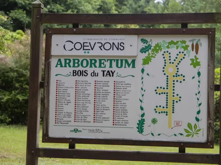 bois-du-tay-arboretum-hambers-01