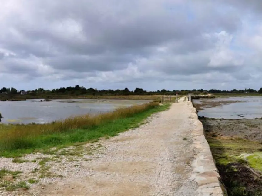 amis-des-chemins-de-ronde-morbihan-bretagne-sud