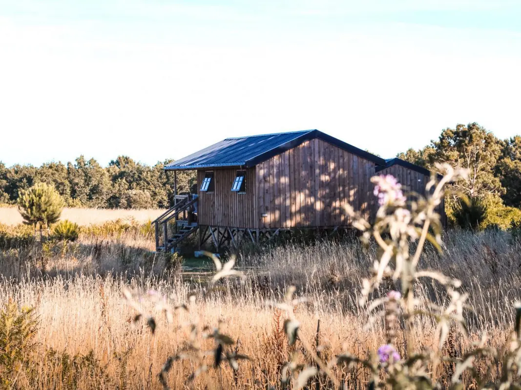 56G161136_800_1200(1)