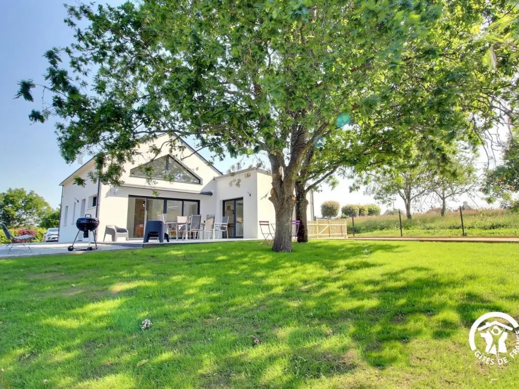 56G240151_800_1200(20)