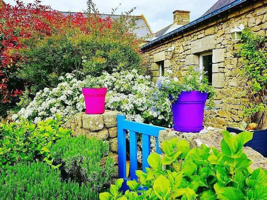 Blue Cottage
