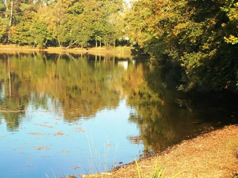 Etang de Kernevy - Saint-Dolay - Morbihan Bretagne Sud