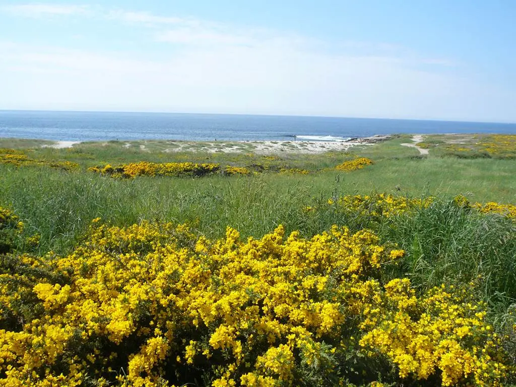 Plage-des-Kaolins-Ploemeur-Morbihan-Bretagne-Sud