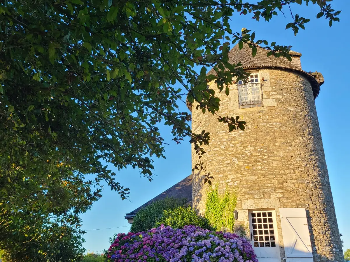 8ad888a1-84b8-42b6-9912-9304236c12a2