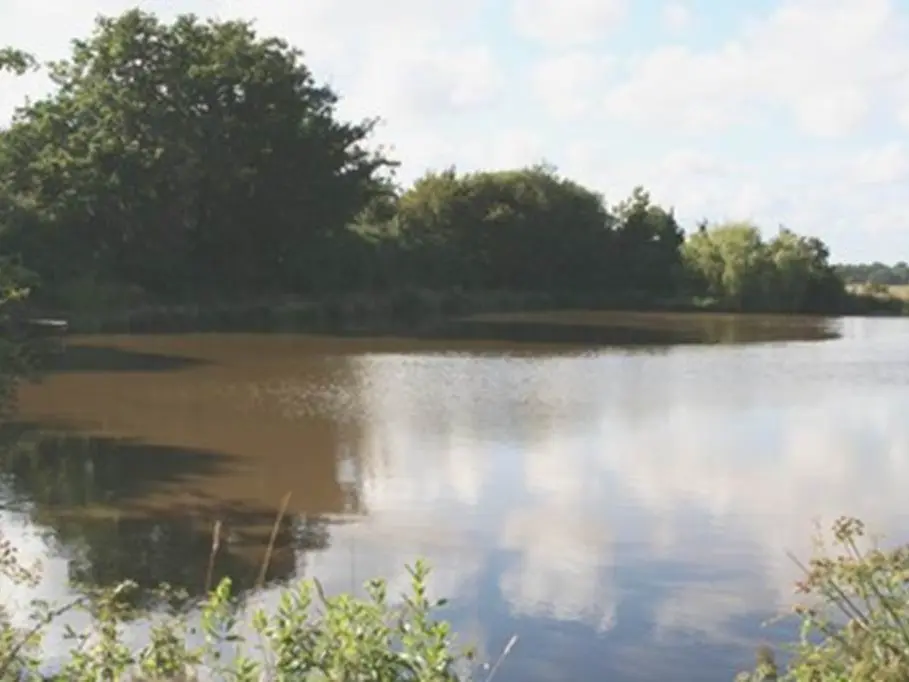 Aire Naturelle du Listy, étang