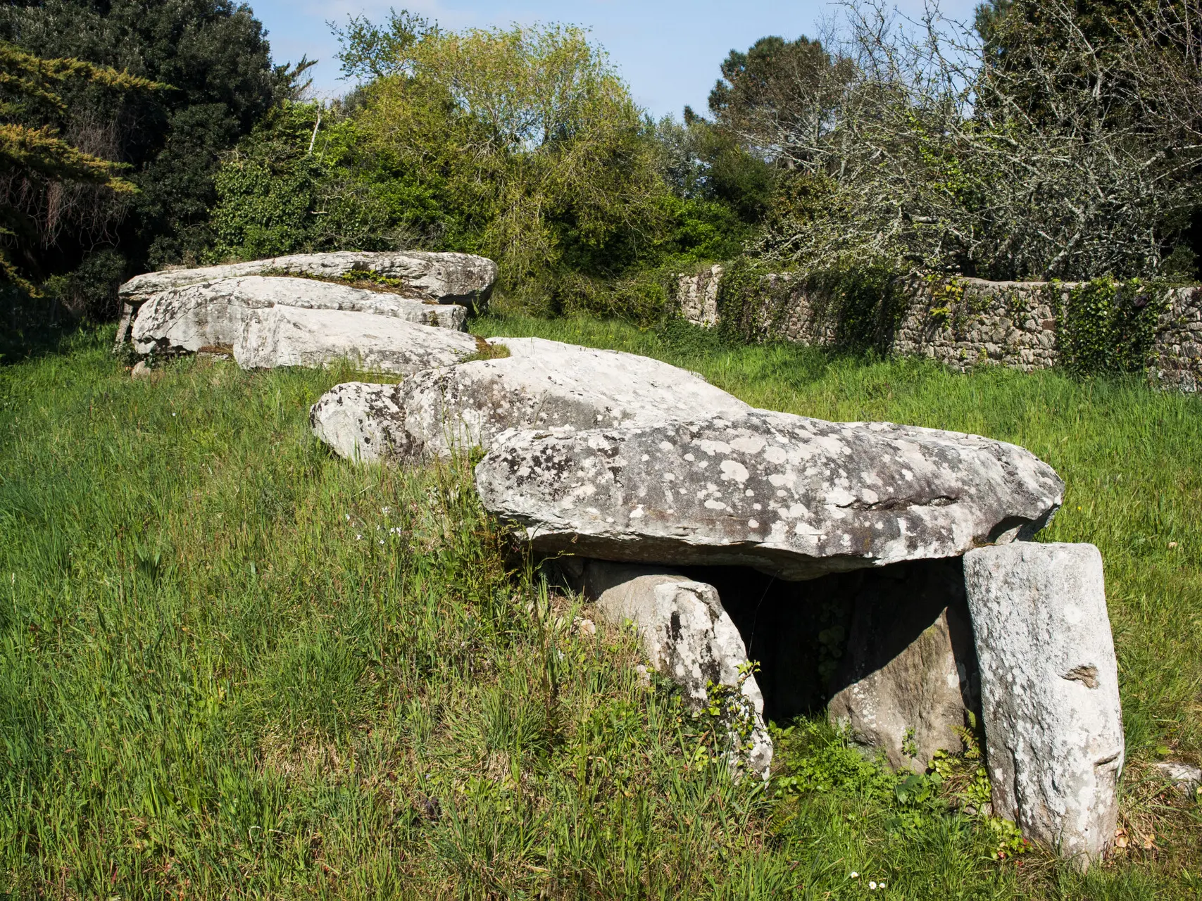 1.jpg_compressed (1)