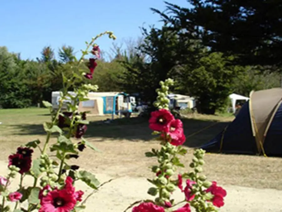 Camping-Municipal-de-Port-Andro-Morbihan-Bretagne-Sud