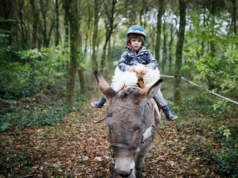 domaine de Kernanou - activités équestres - Ploërmel - Brocéliande – Bretagne