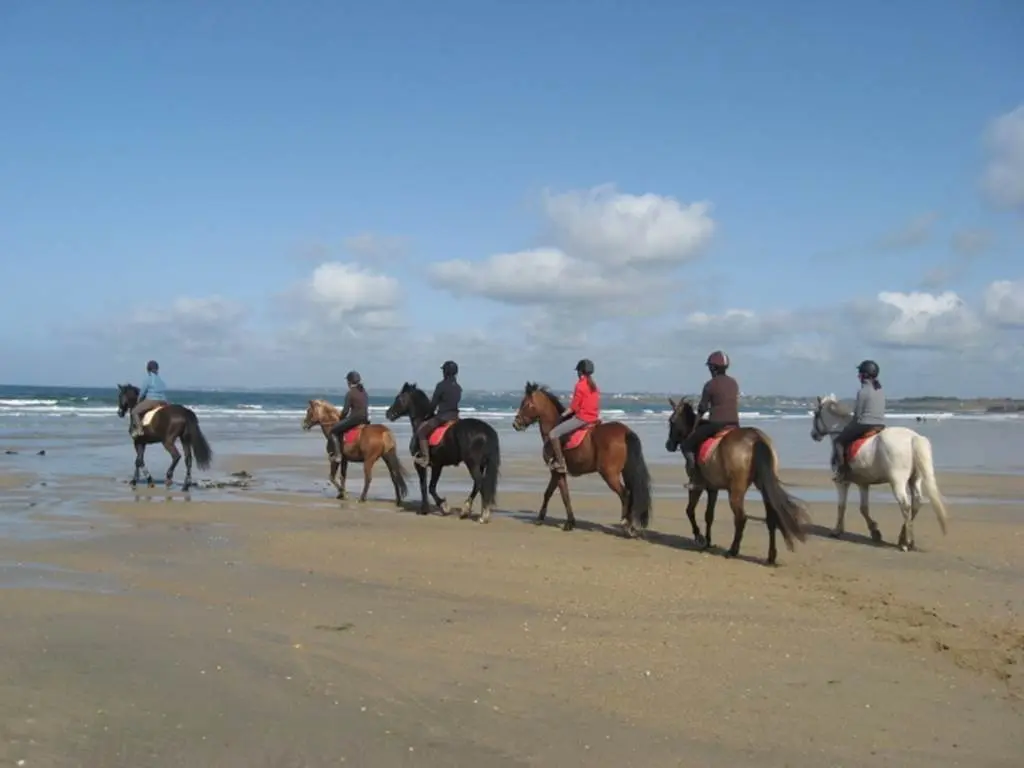 centre-equestre-lann-er-roch-ploemeur-groix-lorient-morbihan-bretagne-sud