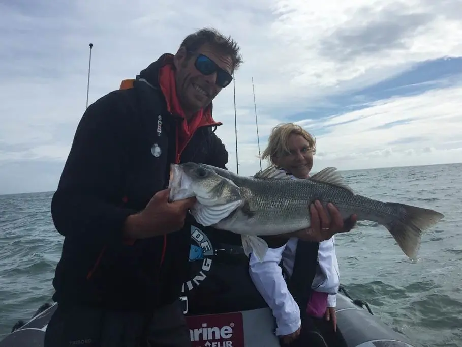 Tolede-Fishing-Sarzeau-Presqu'île-de-Rhuys-Golfe-du-Morbihan-Bretagne sud