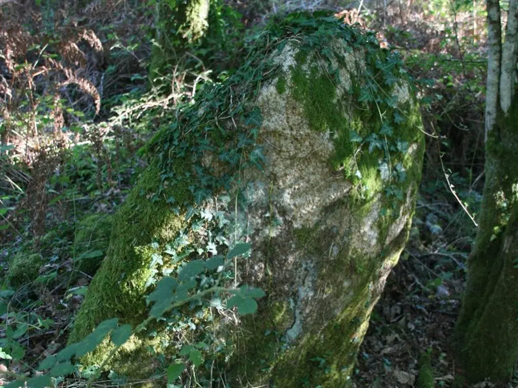 menhir loge au loup Trédion Morbihan Bretagne-sud