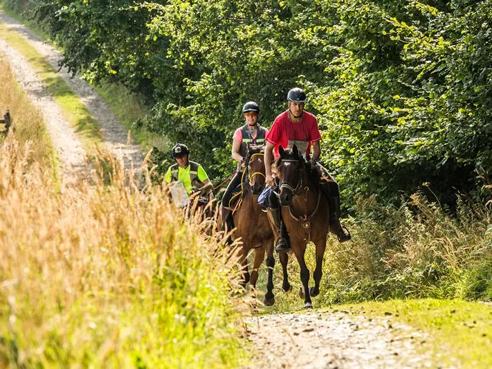 Balade à cheval groupe