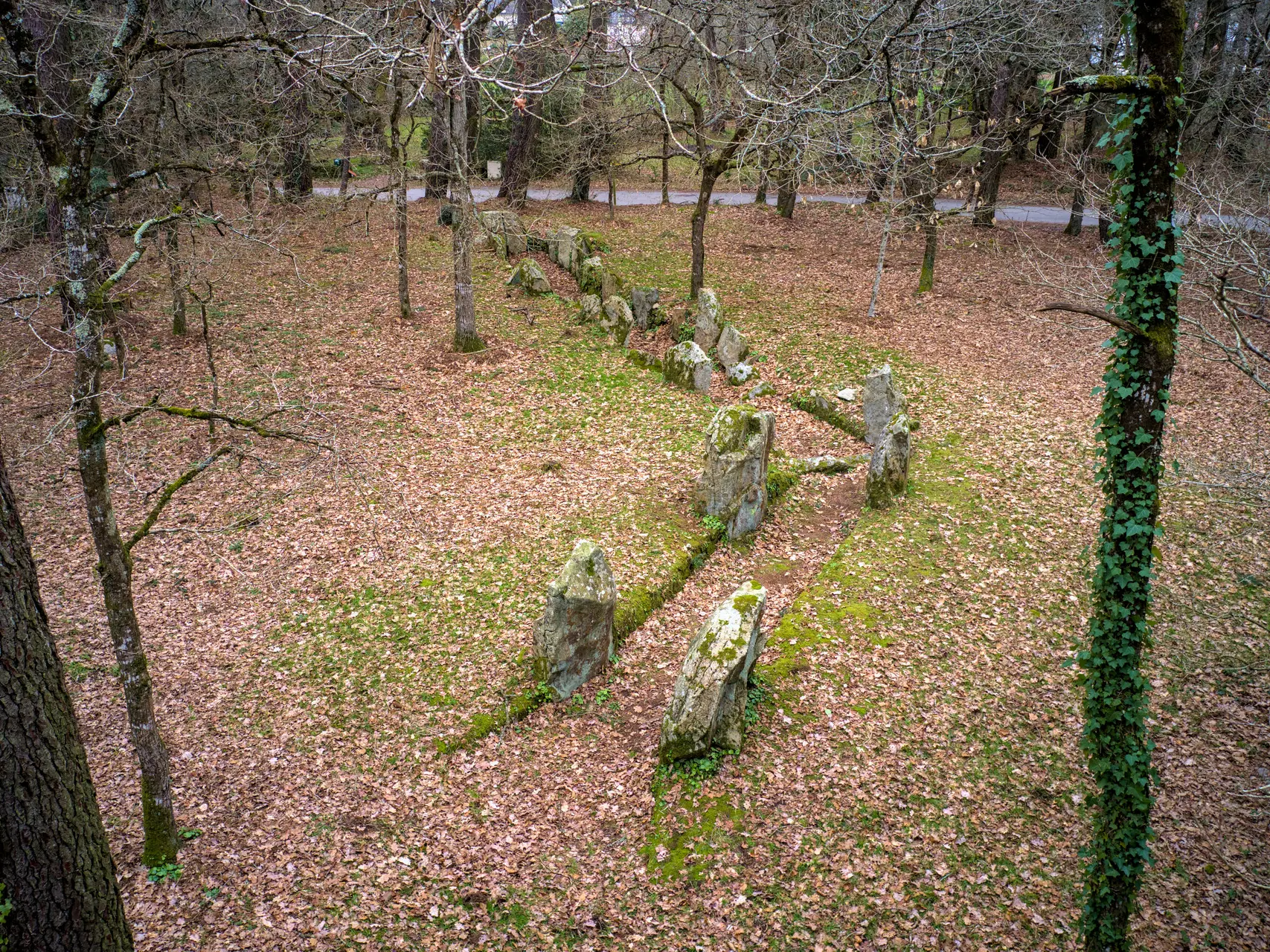 CRACH - Luffang (1).jpg_compressed