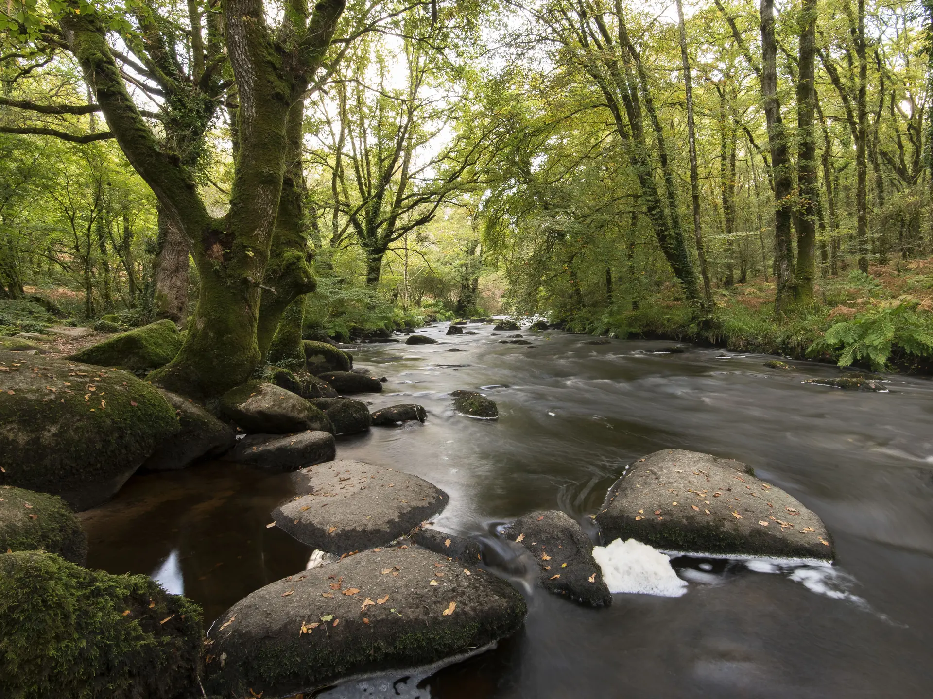 Chaos_Elle©Yohann_Hamonic