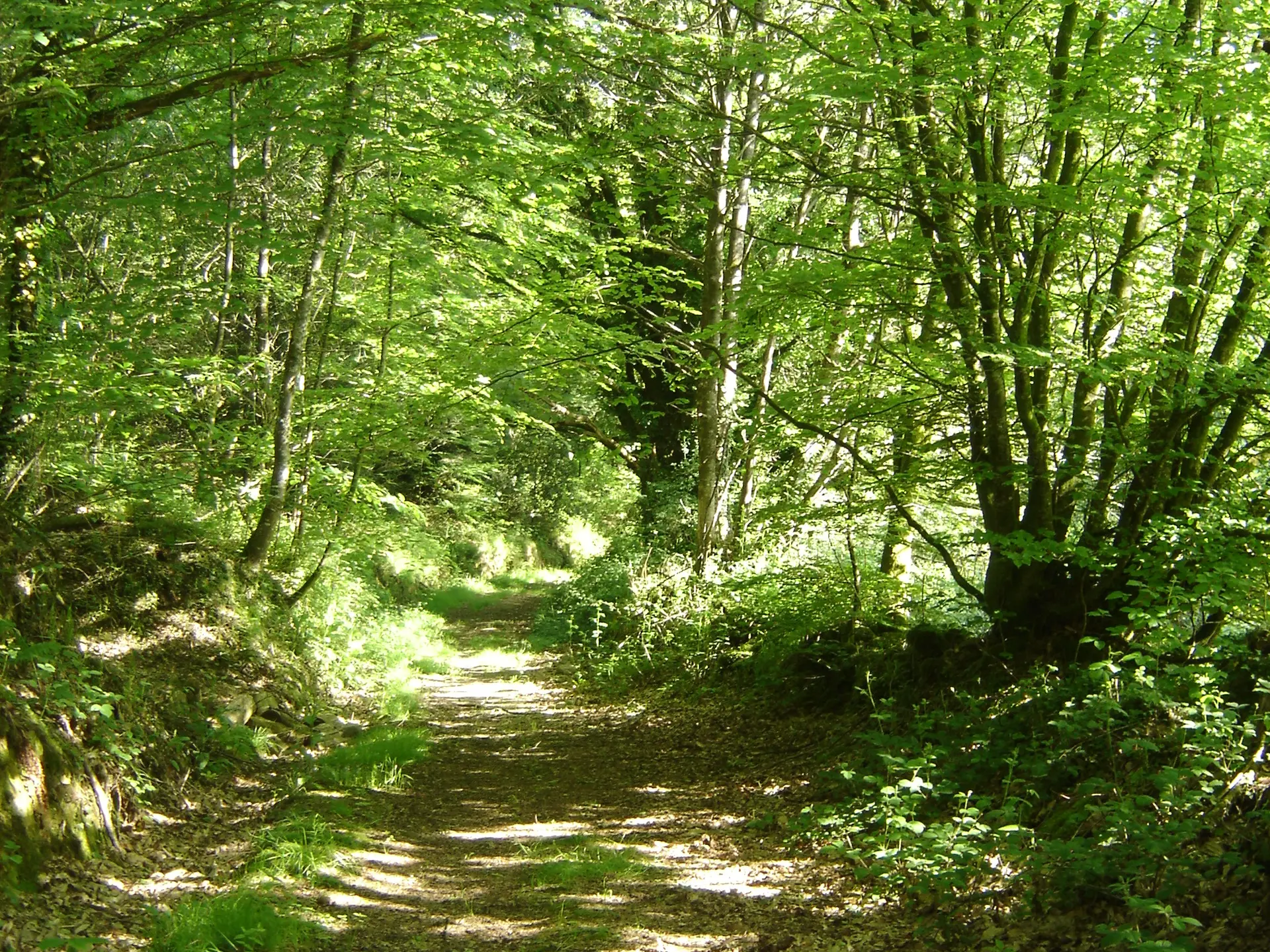 Circuit de Pont-Calleck - Berné - Pays roi Morvan - Morbihan bretagne sud - CP OTPRM (1)