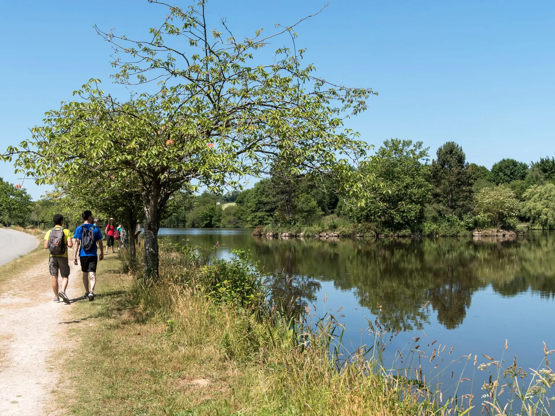Cléguérec - Etang du Pontoir