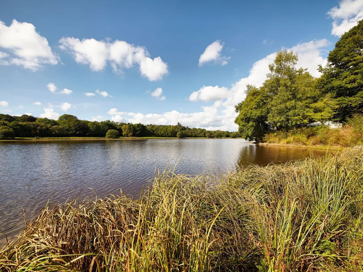 Etang_Dordu_Alexandre_Lamoureux