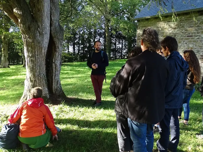 sortie_nature_cpie_foret_de_brocéliande_Morbihan