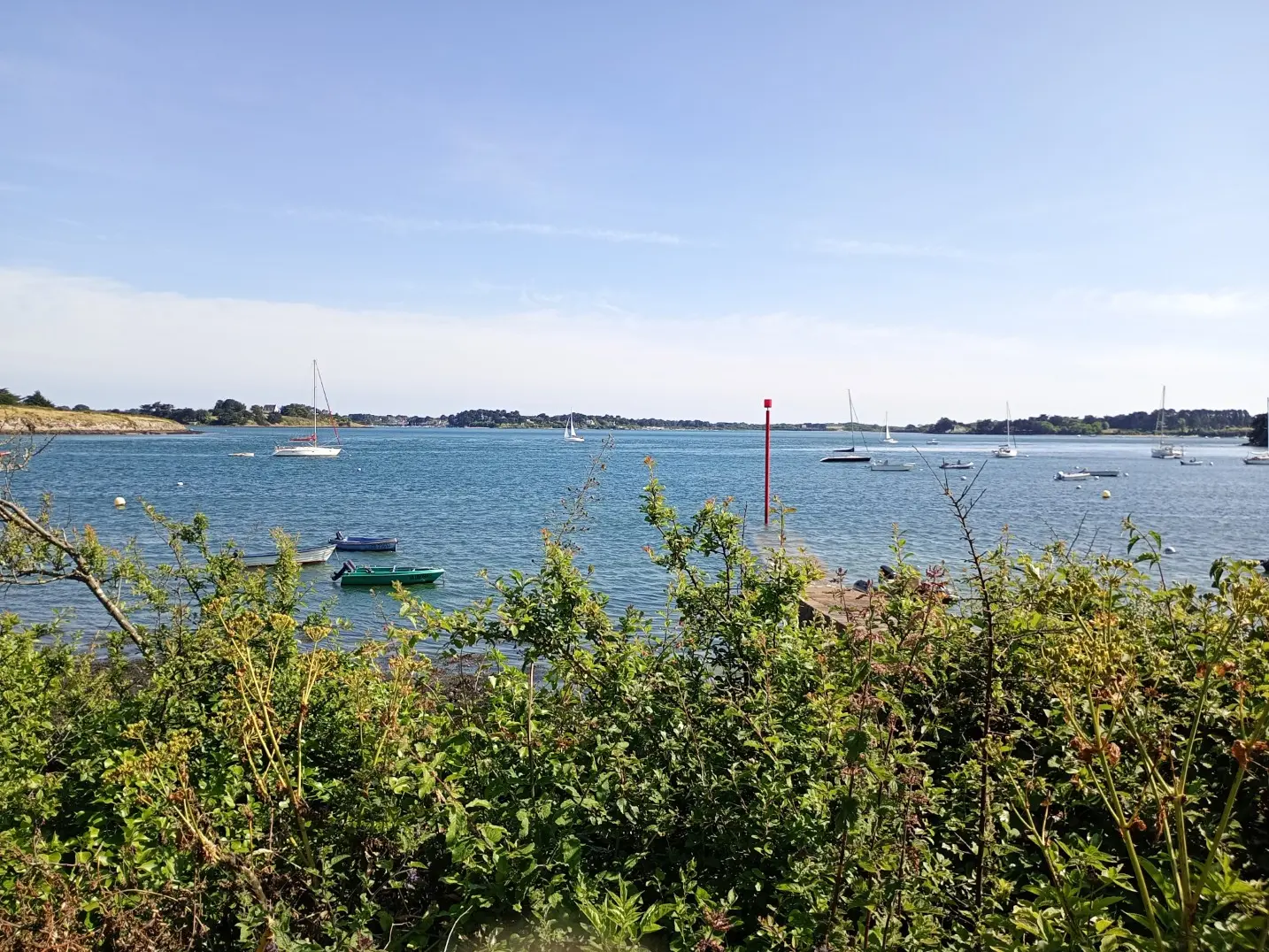 IMG_20240608_171958198_MFNR
