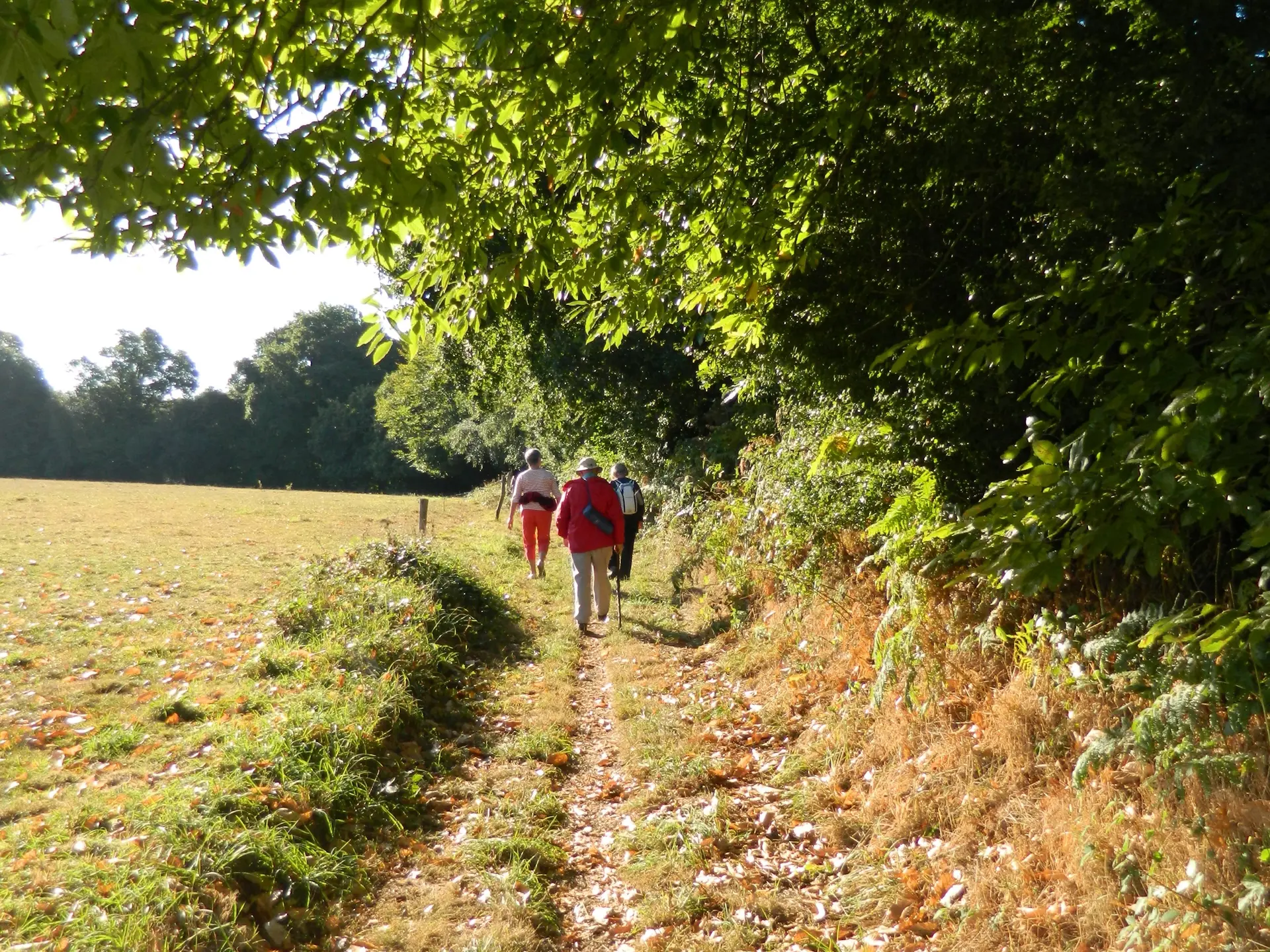 Kerjanic Kerhouis_Guern