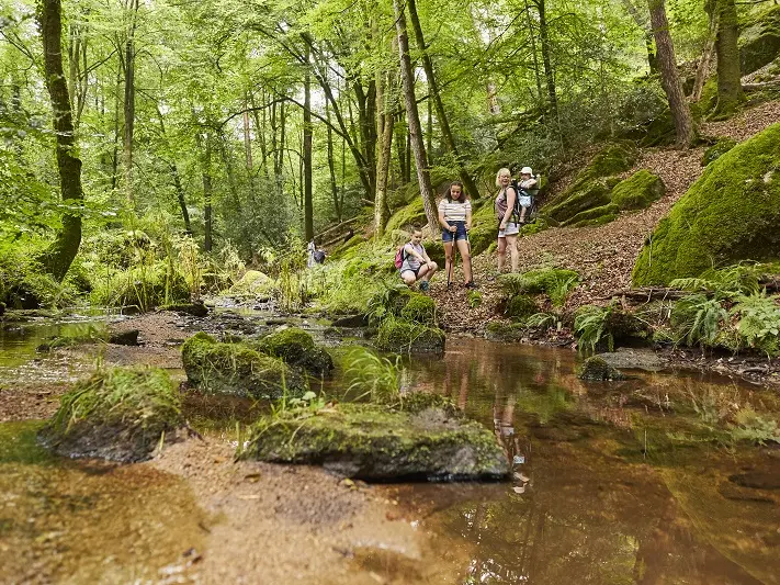 La Chapelle-Neuve-circuit du Goyerdon