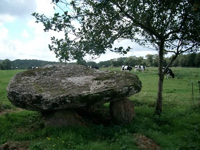 Mégalithes Dolmen de Kermorvant Moustoir ac