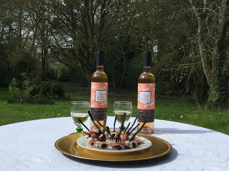 les parfums de brocéliande - apéritif - sureau - Ploërmel