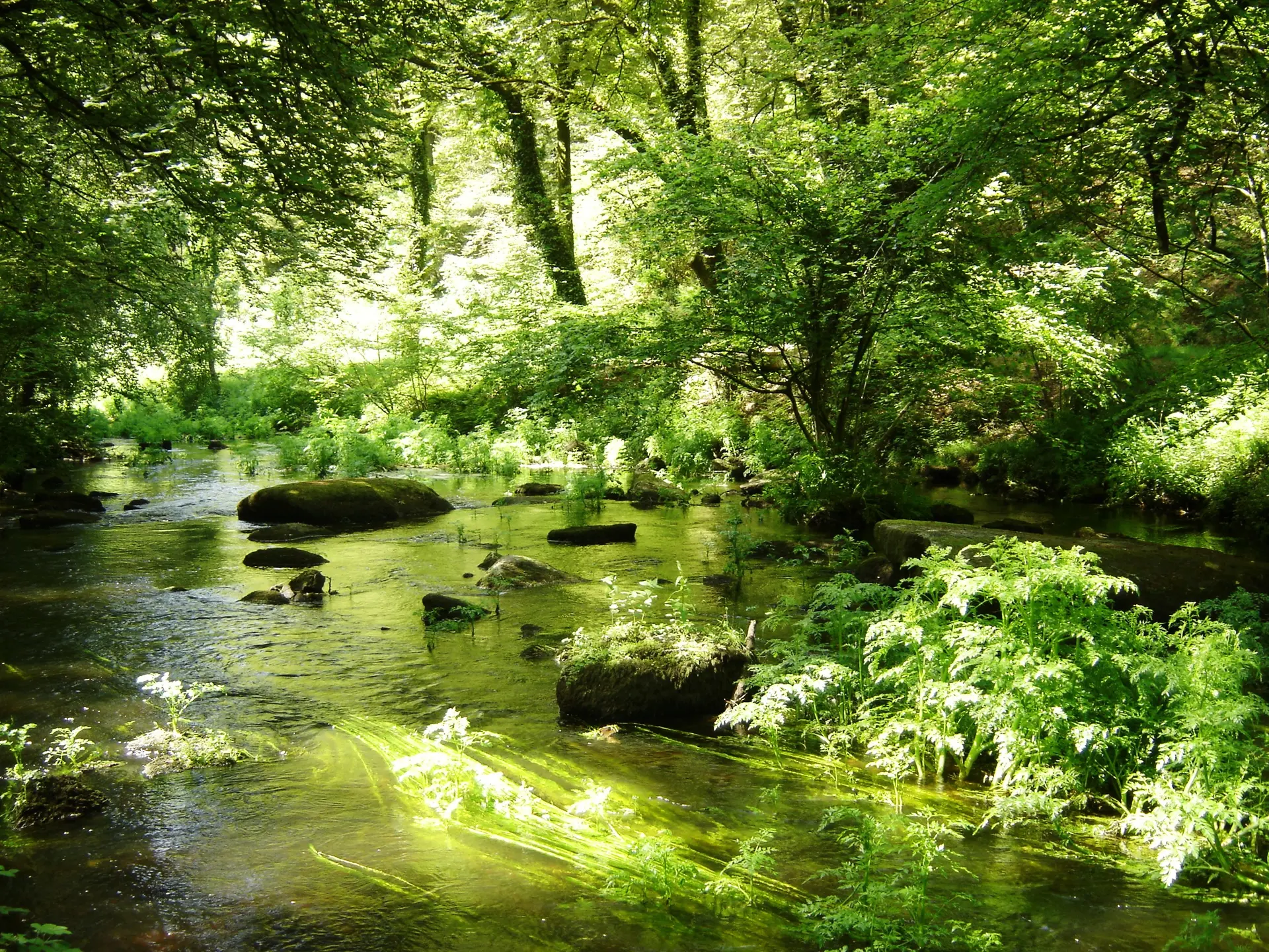 Riviere_LeScorff_Berne©ValerieFranciosi (1)