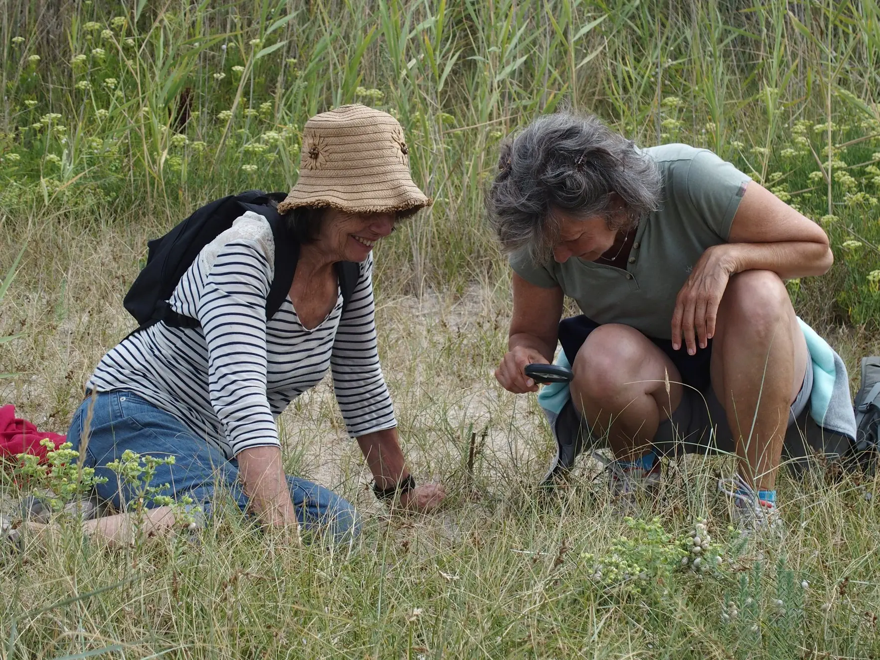 Saute-Ruisseaux_Balade