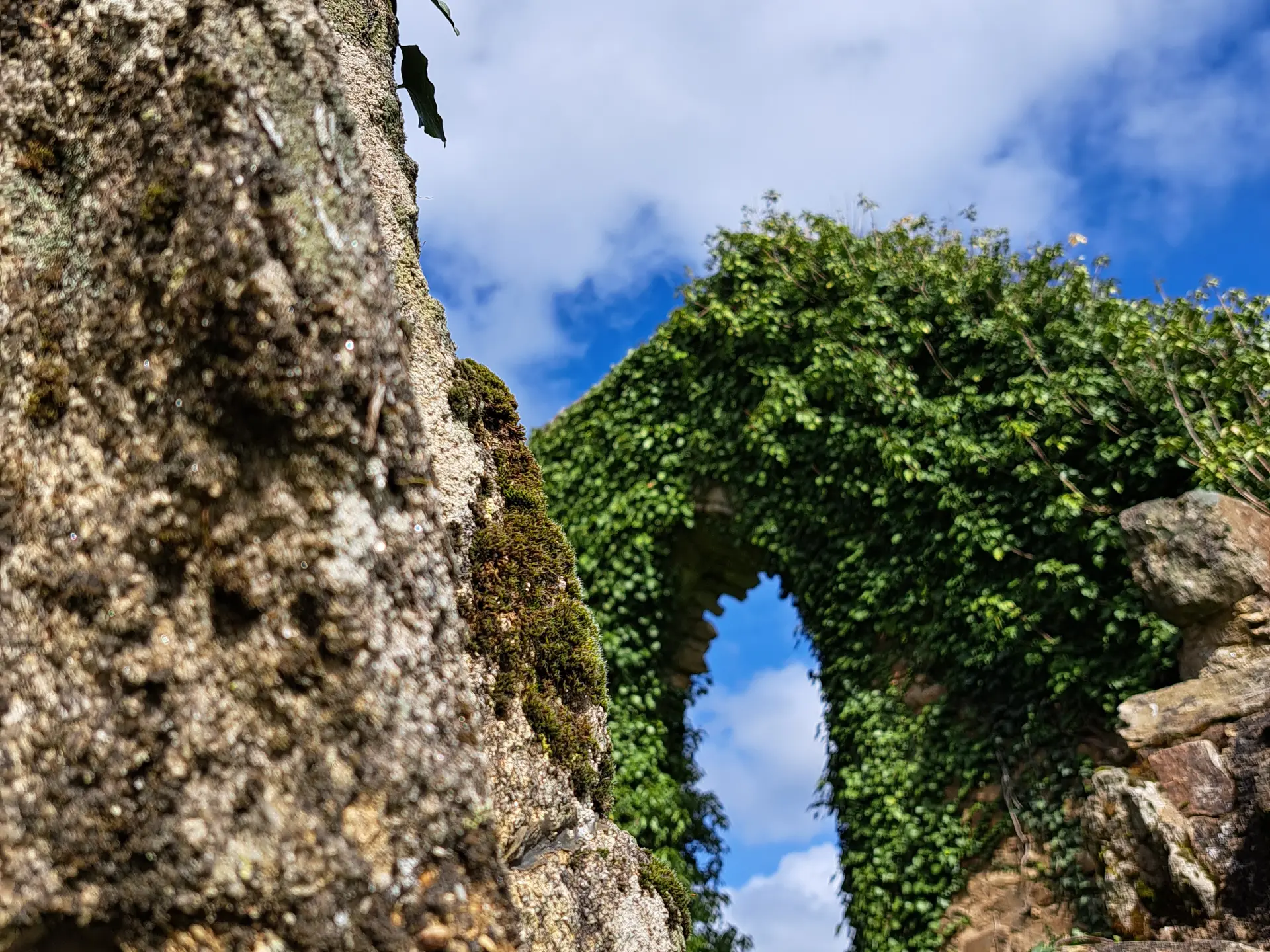 Site_des_Alliers_Béganne_2024-OTPR (19)