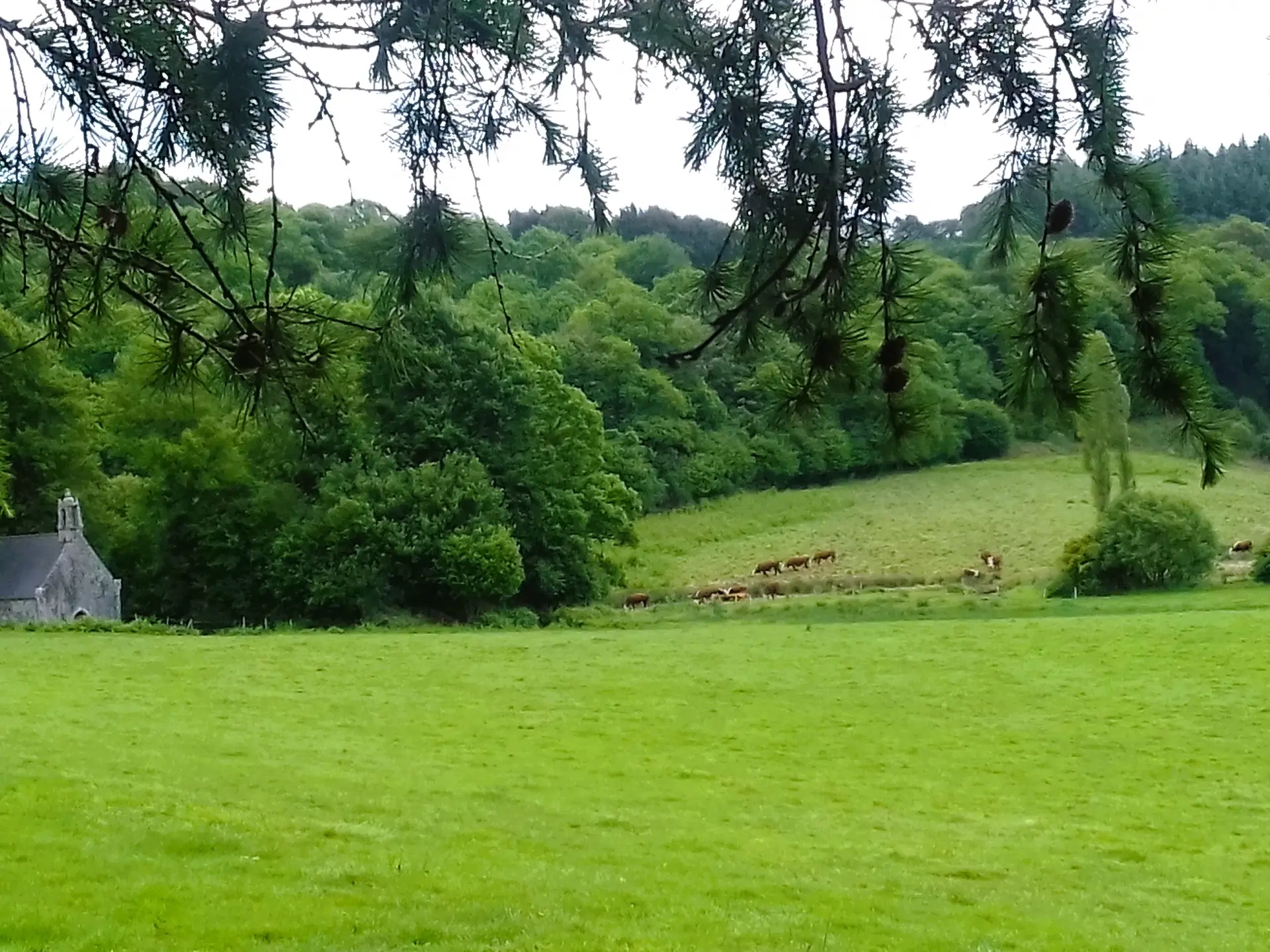 Vallee_St_Tremeur_LeSaint©OTPRM