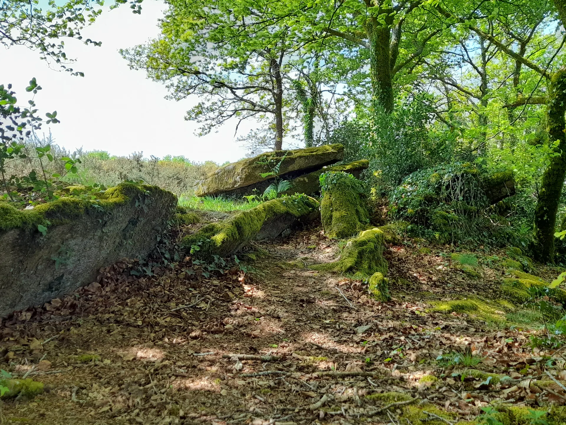 allée couverte Keroual d'en haut
