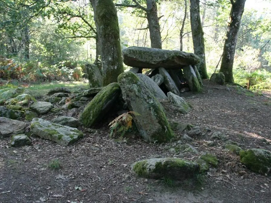 allée couverte la Loge au loup Trédion Morbihan Bretagne-sud