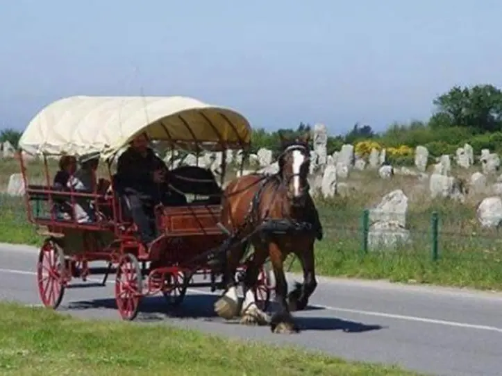 visite-guidée-calèche-carnac-Morbihan-Bretagne-Sud