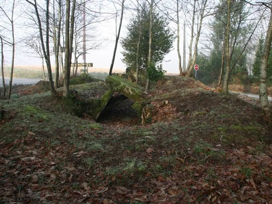 allée couverte de Lann er Veinn Morbihan Bretagne-sud