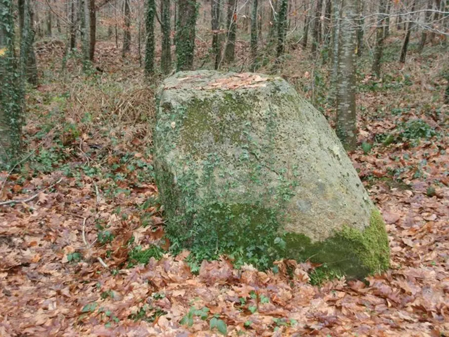 menhir l'armoirieCamors Morbihan Bretagne-sud