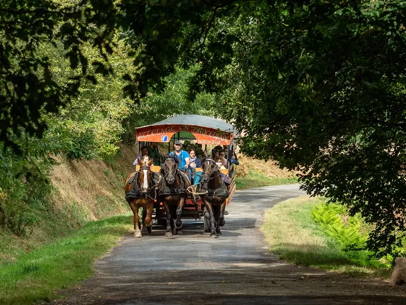 Calèche_de_Brocéliande_balade_contes_Tréhorenteuc_DestinationBrocéliande