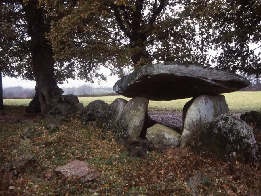 allée couverte de Kerjagu morbihan bretagne sud