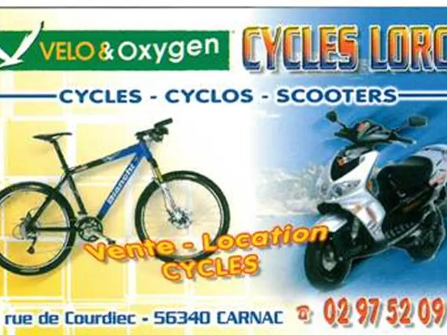 location de cycles-Carnac-Morbihan-Bretagne-Sud