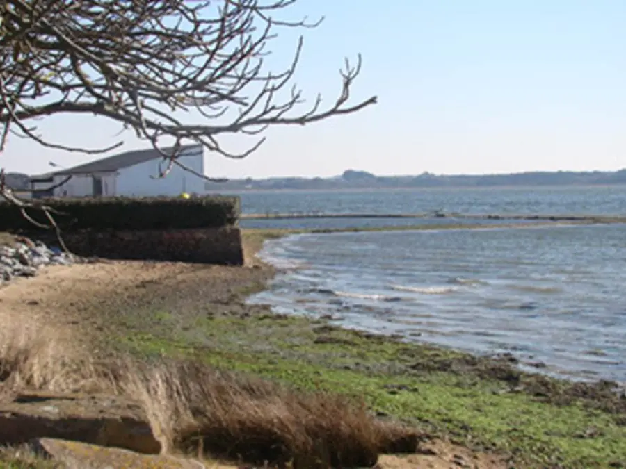 1-Chantier-ostreicol-Morbihan-Bretagne-sud.jpg