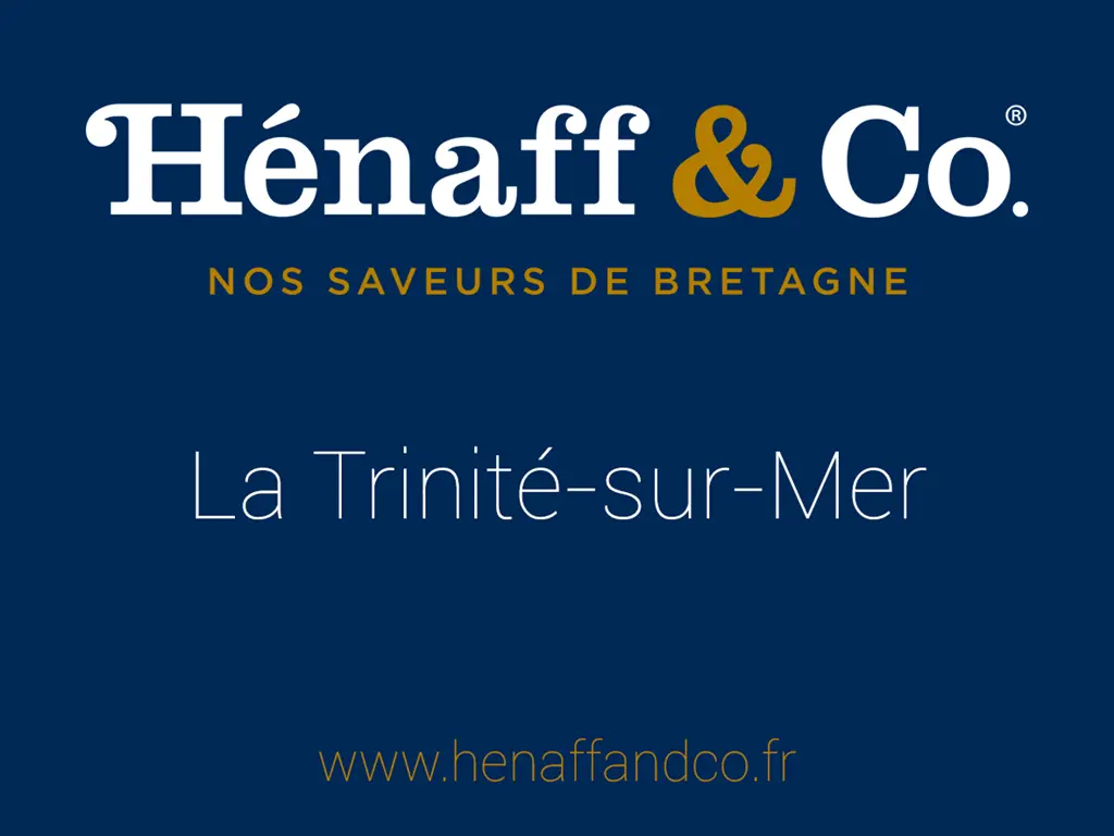 logo+henaffandco+fond+bleu+-+trinité