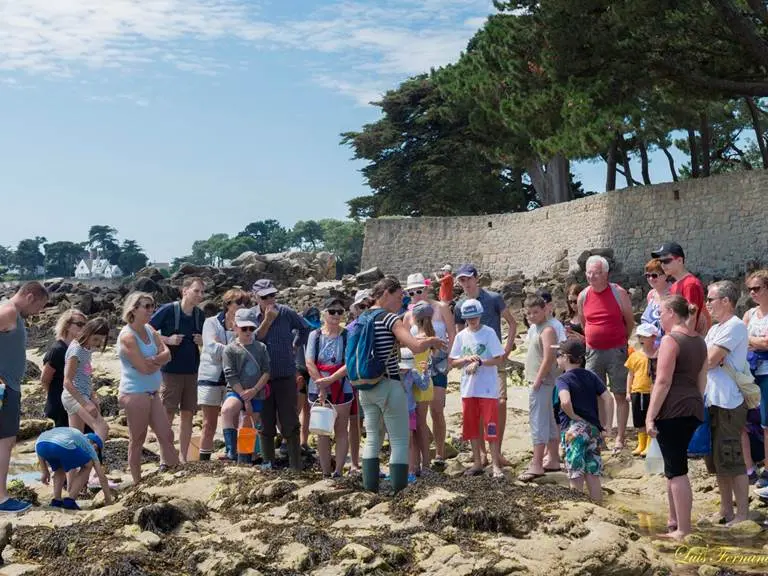 guide-nature-melanie-chouan-trinite-sur-mer-morbihan-bretagne-sud