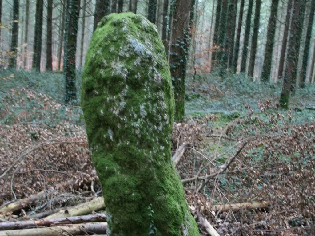 Menhir Men Bihan Camors Morbihan Bretagne-sud