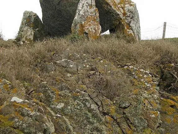 Dolmen du Crapaud à Billiers