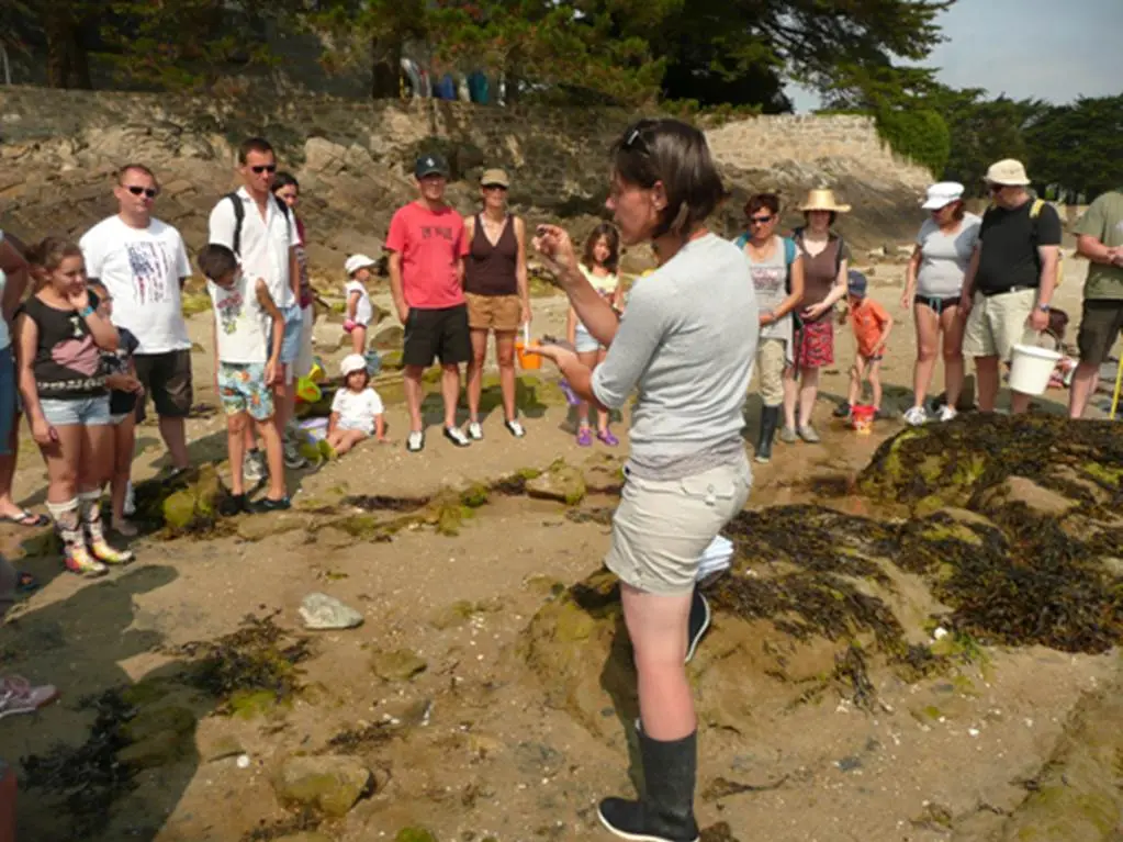 guide nature-carnac-morbihan-bretagne-sud