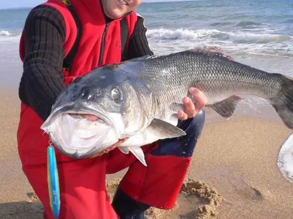 Guide de pêche Morbihan