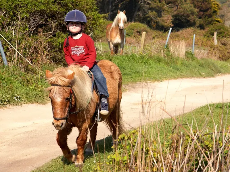 poney club des tifilous - Taupont - Morbihan